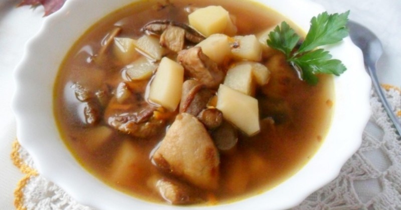 Классические грибные супы из белых грибов: рецепты вкусных первых блюд