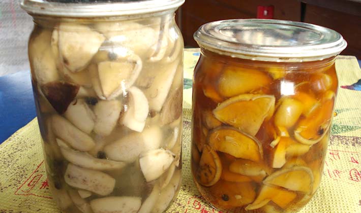 Консервированные белые грибы на зиму: рецепты приготовления в домашних условиях, способы кулинарной обработки