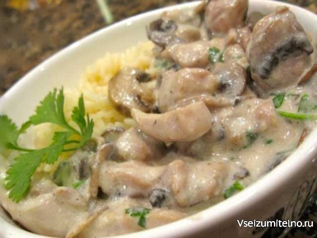 Куриное филе с грибами в соусе: рецепты вкусных блюд