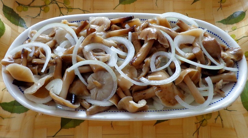 Маринование опят с яблочным уксусом: рецепты, как мариновать грибы