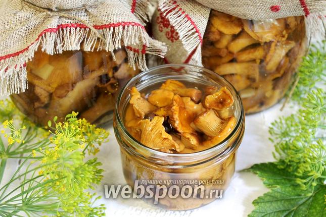 Маринованные лисички: пошаговые рецепты с фото, как вкусно мариновать грибы в домашних условиях