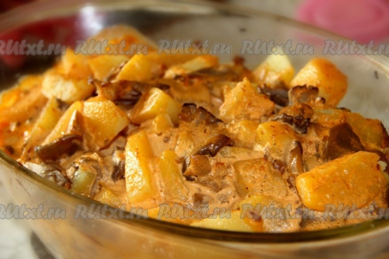 Мясо с грибами вешенками: фото, рецепты приготовления блюд на сковороде и в духовке