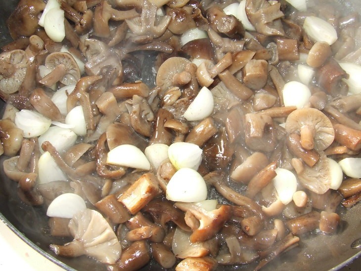 Мороженые опята: можно ли морозить грибы сырыми, вареными и перекрученными и как это делать