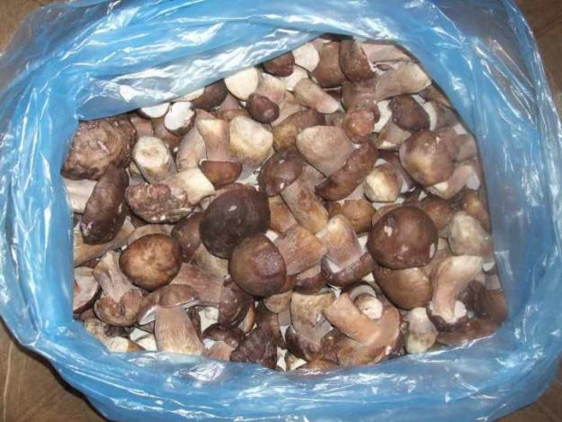Можно ли заморозить грибы рядовки и сколько их нужно отваривать