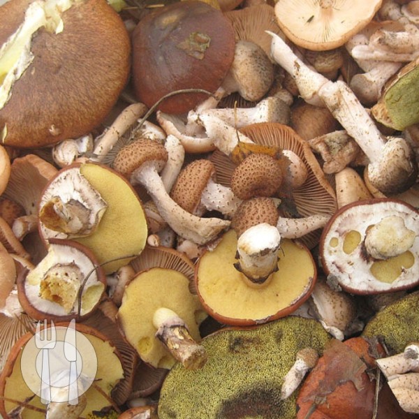 Нужно ли отваривать грибы маслята перед жаркой, сколько времени варить грибы и нужно ли их чистить