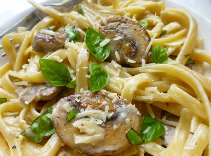 Паста с грибами в сливочном соусе: фото, видео и рецепты приготовления блюд