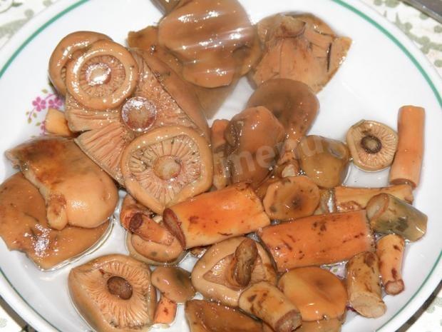 Пирожки с грибами рыжиками: фото и рецепты, как приготовить вкусную домашнюю выпечку