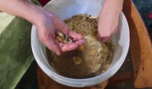 При засолке груздей появилась плесень: что делать и как сохранить грибы
