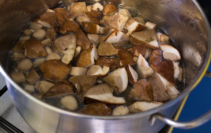Приготовление грибов подберезовиков на зиму: фото заготовок, рецепты, как готовить грибы разными способами