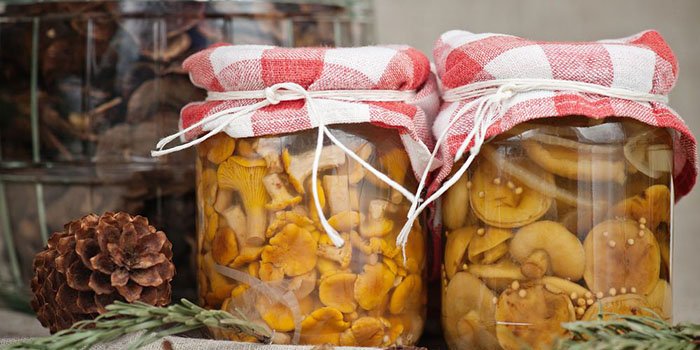 Приготовление рыжиков на зиму в банках горячим способом: рецепты засолки и маринования грибов
