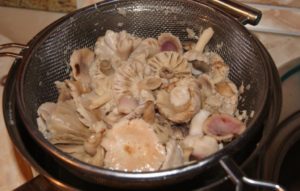 Приготовление сыроежек: фото и видео-рецепты, как правильно приготовить грибы после сбора