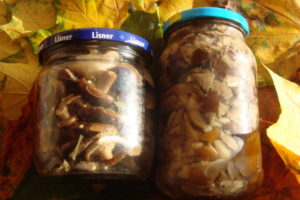 Рецепты, как мариновать и коптить грибы зонтики в домашних условиях: рецепты на зиму