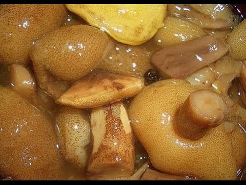 Рецепты маринованных маслят под капроновыми крышками: как мариновать грибы