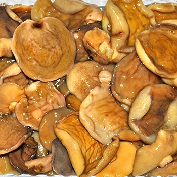 Стерилизованные маринованные опята: рецепты грибных заготовок