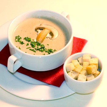 Суп-пюре из белых грибов: фото, рецепты, как приготовить грибные первые блюда