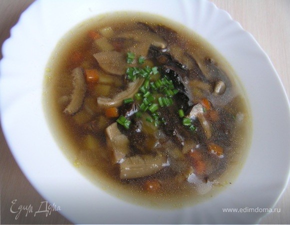 Суп с грибами: рецепты с фото, как сварить домашний грибной суп из свежих, сушеных грибов