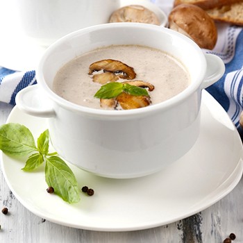 Супы из белых грибов с плавленым сыром: рецепты грибных первых блюд