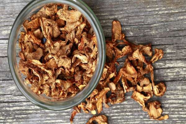 Сушеные вешенки: как сушить грибы и готовить из них блюда