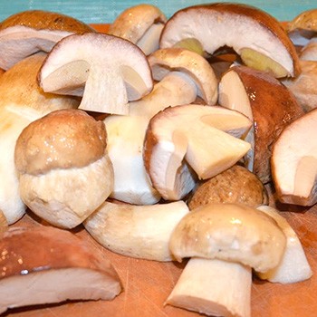 Заморозка белых грибов: рецепты заготовки на зиму с видео и советами по приготовлению боровиков