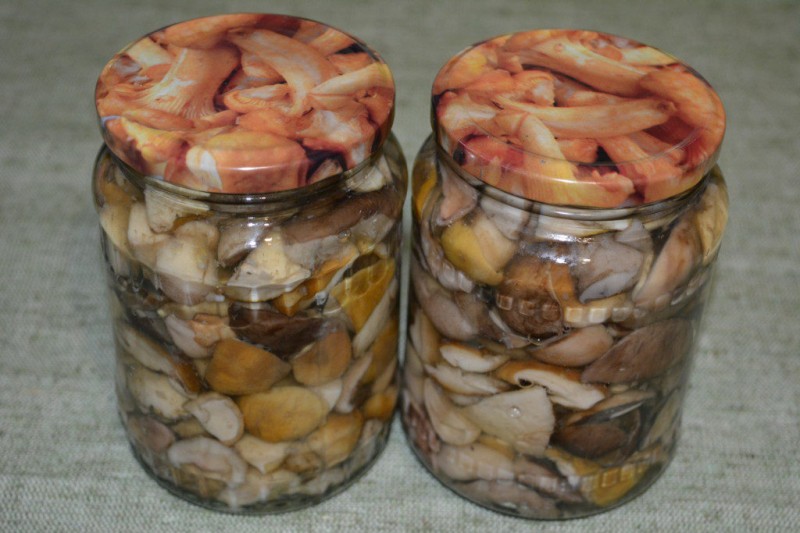Белые маринованные грибы на зиму: рецепты без стерилизации, как замариновать в банках