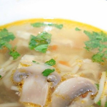 Грибные супы из шампиньонов на курином, говяжьем, овощном бульоне: рецепты первых блюд