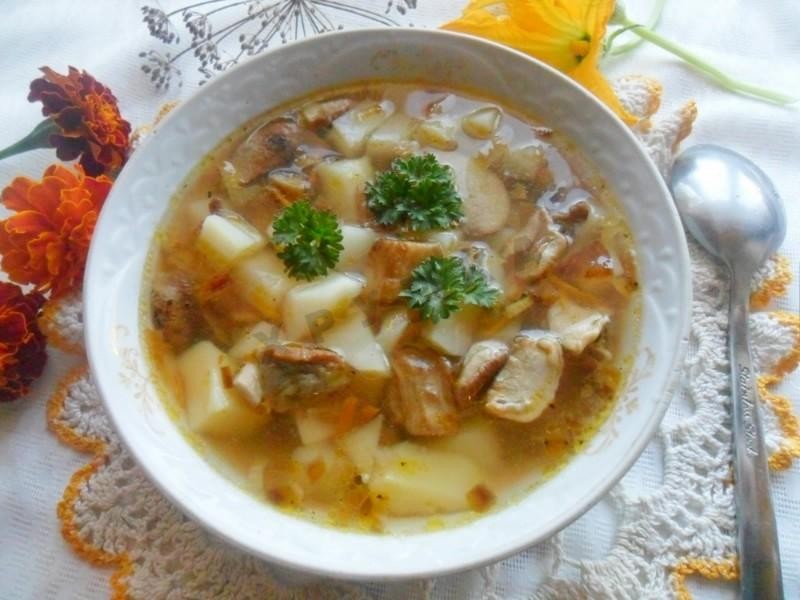 Грибные супы из замороженных шампиньонов: фото и рецепты, как варить вкусные первые блюда