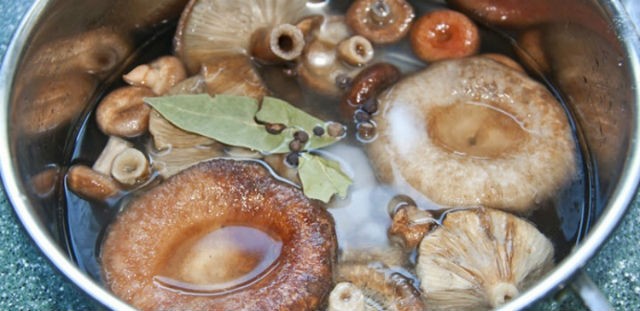 Как готовить на зиму соленые и маринованные волнушки: рецепты приготовления грибов в банках