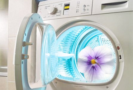 Как избавиться от неприятного запаха из стиральной машины и почему он повляется?