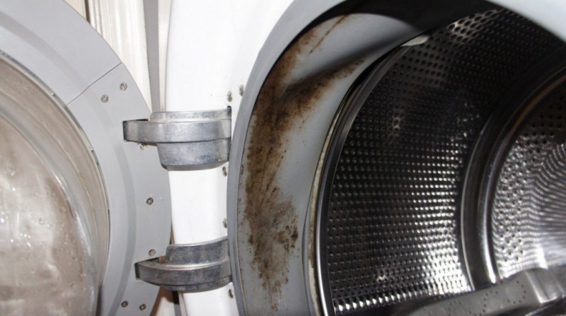Как избавиться от плесени в стиральной машине?