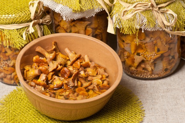 Как консервировать лисички на зиму: рецепты консервированных грибов, как готовить вкусные закуски