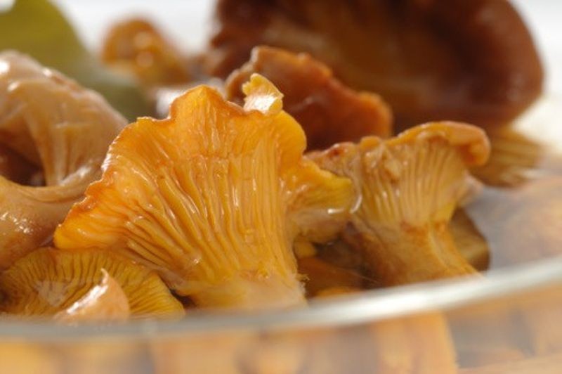 Как мариновать лисички на зиму в банках: рецепты маринованных грибов с фото и видео