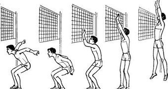 Как подавать в волейболе