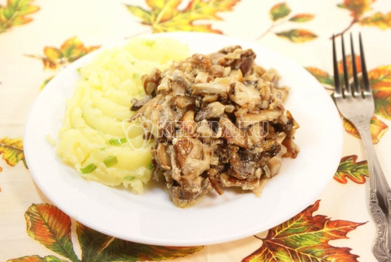Как пожарить белые грибы с картошкой: рецепты приготовления блюд