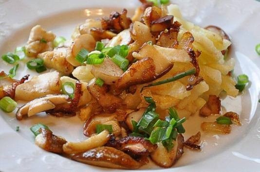 Как пожарить белые грибы с картошкой: рецепты приготовления блюд