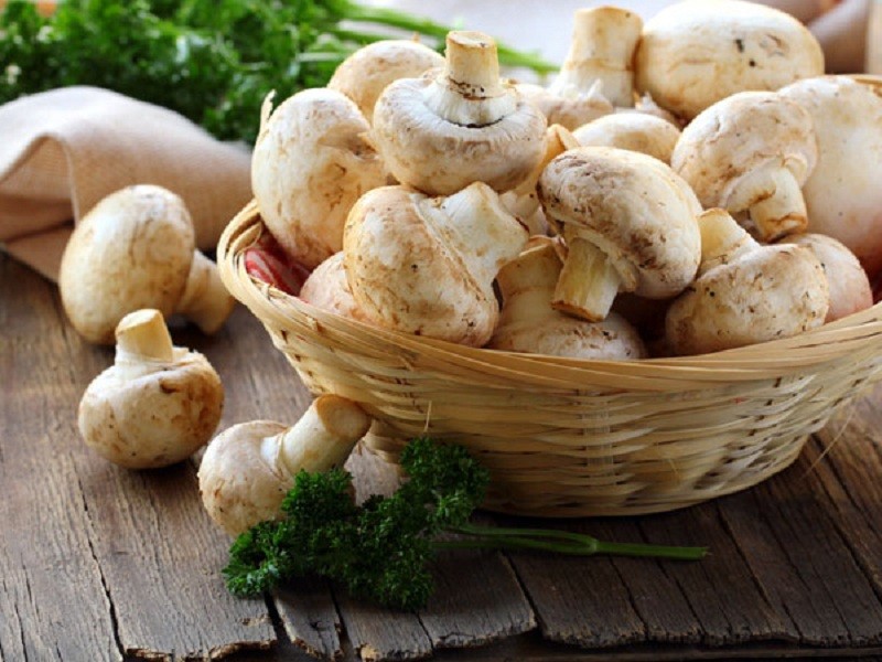 Как правильно готовить шампиньоны: фото, видео и рецепты приготовления грибов разными способами