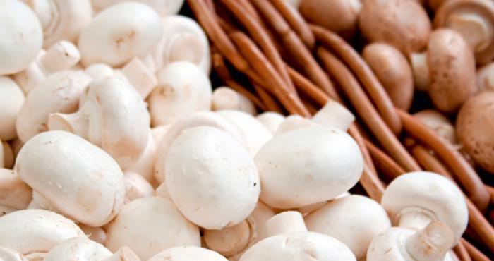 Как правильно хранить рыжики: как сохранить грибы в холодильнике, морозилке или подвале