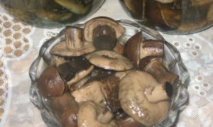 Как правильно мариновать подберезовики: фото и рецепты приготовления маринованных грибов в домашних условиях