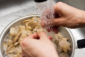 Как правильно мыть и чистить рыжики: способы предварительной очистки грибов