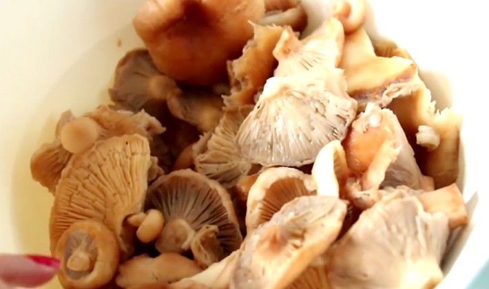 Как правильно приготовить грибы волнушки: фото, видео и рецепты вкусных блюд в домашних условиях