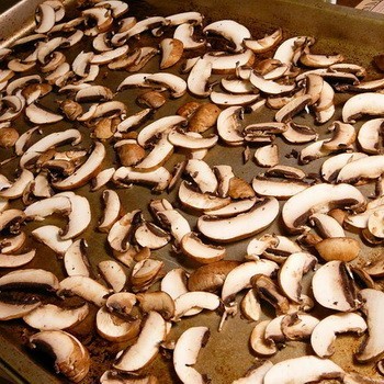 Как правильно сушить грибы лисички в домашних условиях в духовке, электросушилке и на нитке