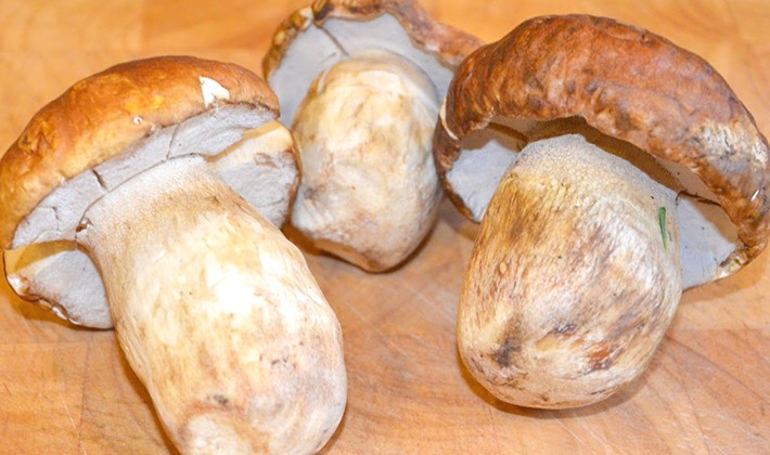 Как правильно варить белые грибы: видео и рецепты обработки сушеных, свежих и замороженных боровиков