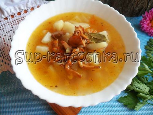 Как приготовить грибной суп из лисичек: пошаговые фото и рецепты приготовления первых блюд