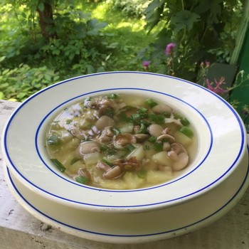 Как приготовить грибные супы из свежих шампиньонов в мультиварке: рецепты приготовления первых блюд