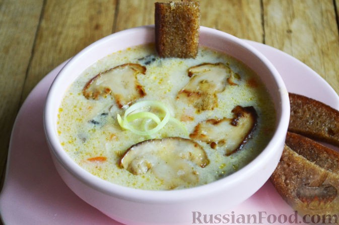 Как приготовить крем-суп из белых грибов: фото, видео, рецепты вкусных первых блюд
