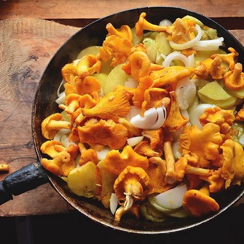 Как приготовить лисички в горшочках с картошкой, мясом, курицей: рецепты приготовления грибных блюд