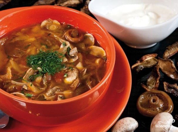 Как приготовить солянку с грибами и капустой: видео, рецепты приготовления вкусных блюд