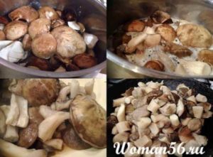 Как приготовить жареные подберезовики: фото и пошаговые рецепты приготовления грибов разными способами