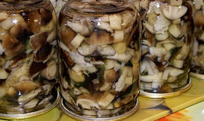 Как приготовить жареные подберезовики: фото и пошаговые рецепты приготовления грибов разными способами
