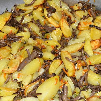 Как вкусно приготовить опята со сметаной: рецепты с луком, картошкой и другими ингредиентами