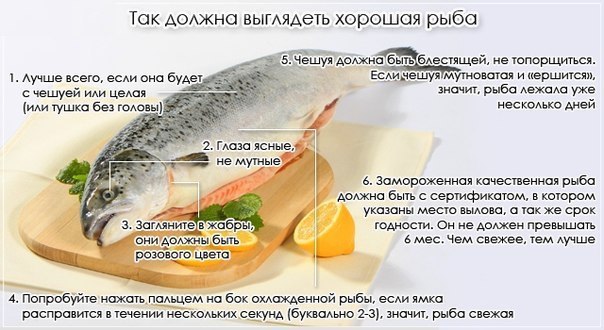 Как выбрать действительно свежую рыбу